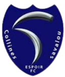 EspoirFCSavalou